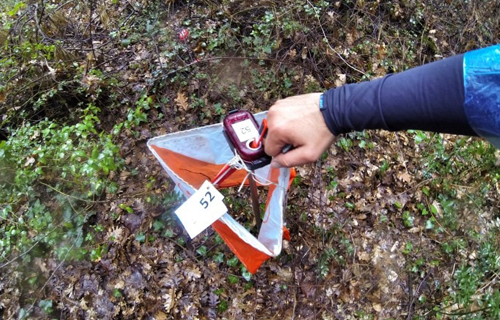 Orienteering