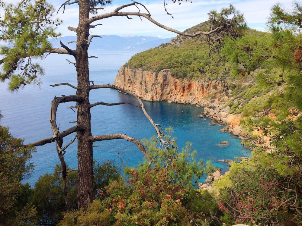 DOĞA YÜRÜYÜŞÜ UZUN PARKUR  ADRASAN - GELİDONYA FENERİ - KORSAN KOYU  (19 KM)