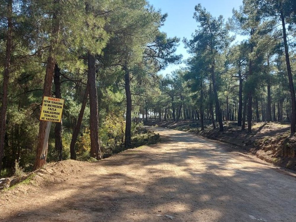 DOĞA YÜRÜYÜŞÜ ÇOCUK &#38;  AİLELERİ İÇİN DOĞAYA VE OKULA HOŞGELDİN YÜRÜYÜŞÜ  GÜVER UÇURUMU - DÜZLERÇAMI ORMANI