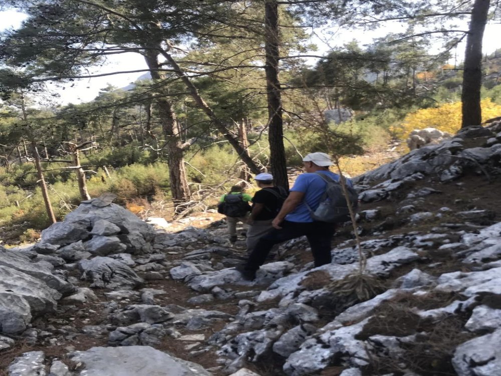 Doğa Yürüyüşü Uzun Parkur Etkinlik Yeri: Göynük Yaylası - Göynük Kanyonu 19 km