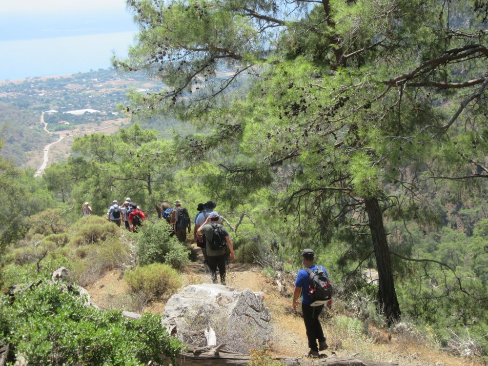 DOĞA YÜRÜYÜŞÜ CUMHURİYET YÜRÜYÜŞÜ TEK PARKUR 9-12 km arası  ETKİNLİK YERİ: ULUPINAR -ÇIRALI - OLİMPOS 29 EKİM 100. YIL CUMHURİYET YÜRÜYÜŞÜ