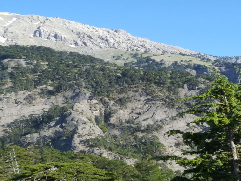 BOZBURUN DAĞI ÇIKIŞI