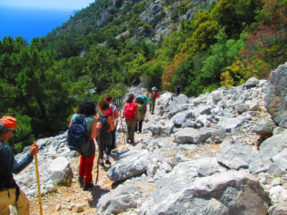 DOĞA YÜRÜYÜŞÜ UZUN PARKUR  ADRASAN - GELİDONYA FENERİ - KORSAN KOYU  (19 KM)