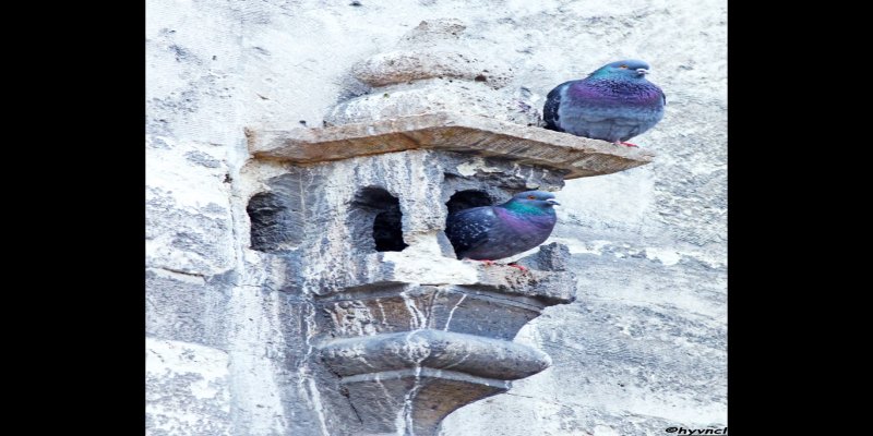 todosk doğa sporları klübü